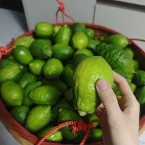 香水柠檬