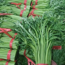 张北，沽源，精品茼蒿