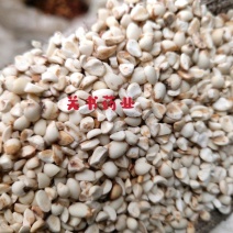 薏米仁碎米新货批发中药材