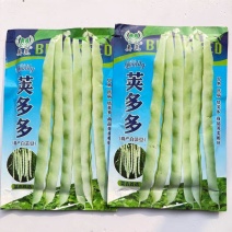 荚多多高产芸豆种子早熟抗病结荚多肉厚无筋架豆种籽四季豆蔬菜籽