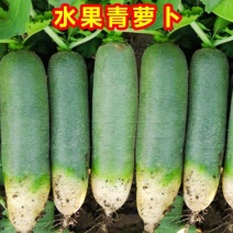 水果萝卜