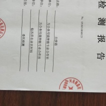 优质野生白参菇