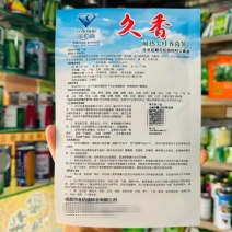 久香尖叶莴苣种子青笋种子耐热耐寒青皮绿肉莴苣种籽高产蔬菜种籽