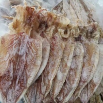 鱿鱼干轻微盐9.5成干新鲜刚晒的新产品