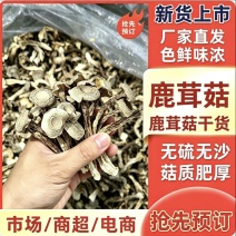 鹿茸菇干干货鹿茸菇中条对接食堂商用无硫味浓新货