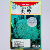 炎秀西兰花种子进口耐热西兰花种籽有机青花椰菜种子原装