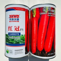 红冠三系杂交胡萝卜种子红色萝卜国外引进三红胡萝卜种子籽耐