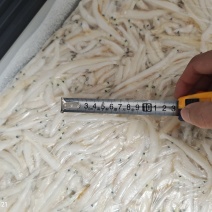 银鱼，大银鱼，价格可优惠
