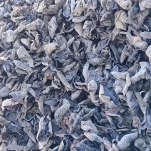 精品黑木耳需要的可以联系
