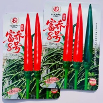富乔8号朝天椒种子长把早熟高产抗病大田种植专用大果辣椒种籽