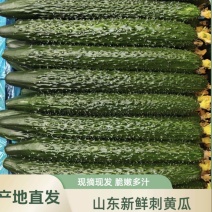 精品黄瓜