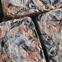三文鱼带刺鱼碎肉