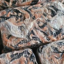 三文鱼带刺鱼碎肉