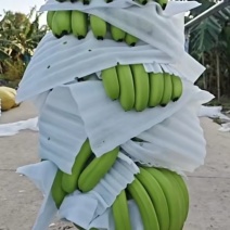 巴西香蕉。