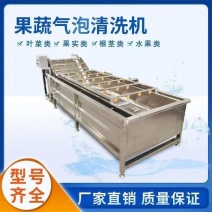 气泡清洗机水果蔬菜中药材柑橘砂糖橘清洗流水线定制
