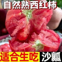 山东生吃西红柿新鲜沙瓤大番茄自然熟地头现摘水果粉柿子整箱