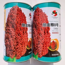 神禾酿金粱8号高粱种子酿酒高粱南方杂交高粱香糯优质食用春季