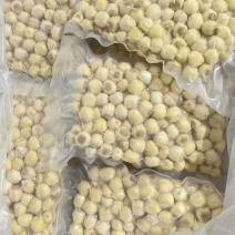湖北洪湖新鲜莲子