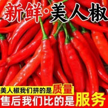 精品好货洪金塔美人椒，质量好，品质优，有需要的朋友请联系