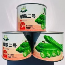 绿霸二号水果秋葵种子春夏播耐热早熟耐老杂交一代秋葵种籽蔬菜孑