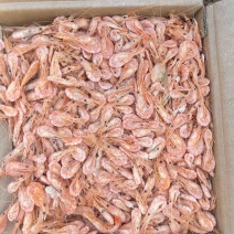 磷虾