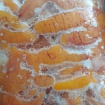 鲈鱼籽