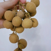 香甜龙眼