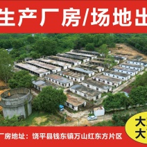 广东潮州市饶平县81亩大型厂房低价出租