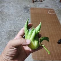广西哪里位置