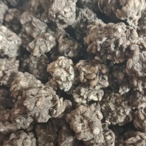 猫爪草猫抓草批发煮水煲汤好货