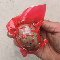 烤鸭蛋大克重