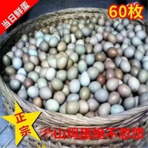 七彩山鸡蛋新鲜农村散养绿壳土鸡蛋笨鸡蛋礼