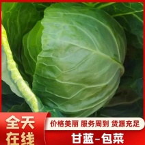 [河北内蒙辽宁甘蓝精品]一手货源，产地货，手感菜，宣菜！
