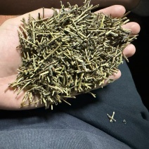 性价比超高的绿茶