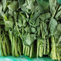 板小青，板兰根青菜