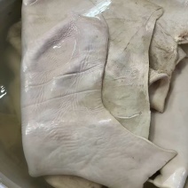 水退公黄牛皮