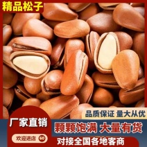 【品质保障】东北红松子电商支持一件代发欢迎来电咨询