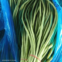 精品豇豆长豆角！产地直发，量大从优！欢迎来电咨询！
