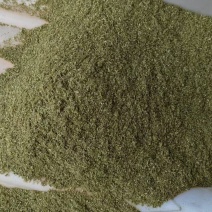 松针粉绿色畜牧养殖饲料添加剂细粉保质保量欢迎来电