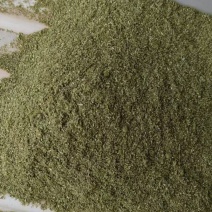 松针粉绿色畜牧养殖饲料添加剂细粉保质保量欢迎来电