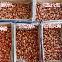 龙虾尾纯干无冰/包冰/各规格/可定制