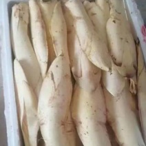 棕包