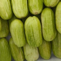 八棱脆
