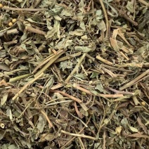 叶下珠【包邮】三斤起发货可批量可零售量大从优