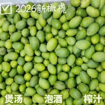 2026潮汕新橄榄批发