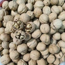 核桃大量现货，规格齐全，接一件代发。