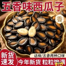 西瓜子175，话梅味2166，五香味，0719，电商供货