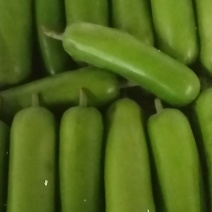 湖北户子