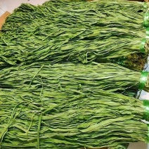 安徽贡菜干基地直供诚信经营对接商超餐饮市场
