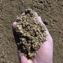 河北蘑菇菌渣价格美丽质量好对接全国量大从优